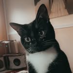 mavericksmodernlife profile picture