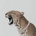 mavikmusik profile picture