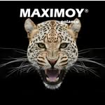 maximoy_polanco profile picture
