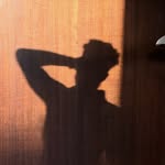 maxschoeber profile picture
