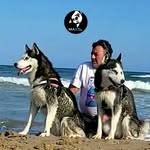 maxthehussky profile picture