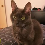 maya.papaya.princessconsuela profile picture