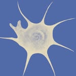 mayaaharrison profile picture