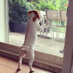 mayaandsnoopy profile picture