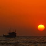 mayank_parekh_ profile picture