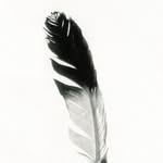 mayavaleregille profile picture
