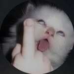maybe_gullyy_ profile picture