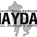 maydaypitbull profile picture