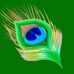 mayilpeeli__entertainments profile picture