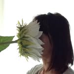mchiara_delfini profile picture