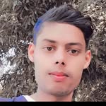 md_qudratul_1774 profile picture