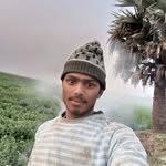mdalim2952 profile picture