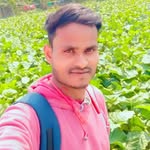 mdzafar8416 profile picture