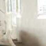 mdzakir90727 profile picture