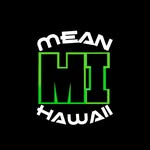 meanhawaii profile picture