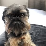 meanwaltergene profile picture