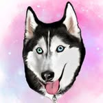 meekathehuskyy profile picture