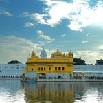 meet_randhawa84677 profile picture