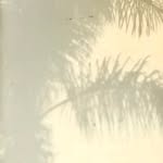 meganjtaylorr profile picture