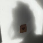 meghannguy profile picture