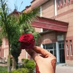 mehak_63193 profile picture