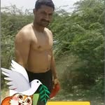 meharchandkasana profile picture