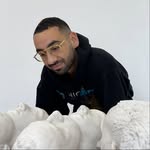 mehdigeorgeslahlou profile picture