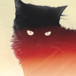 mehdilacoste_ profile picture