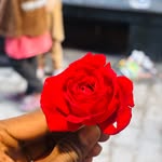 mehek_shabnam098 profile picture