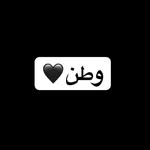 mehranrowshan.persian profile picture