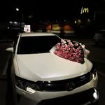 mehroj.7__ profile picture