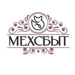 mehsbit profile picture