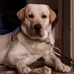 mehta.6068 profile picture