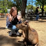 meiqi.chua profile picture