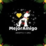 mejoramigoadopta profile picture