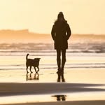 melanie.dawn.art profile picture