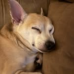 melisahr9878 profile picture