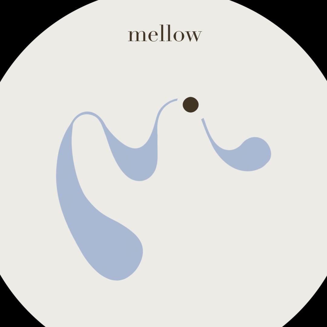 mellowmellow.house profile picture