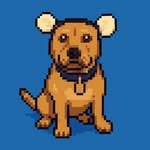 memes.de.perritos profile picture