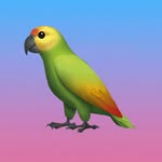 memesbrasil profile picture