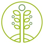 mercadosaludableolivo profile picture