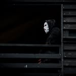 merch7_official profile picture
