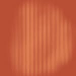meridianswimwear profile picture