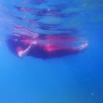 merinda_davies_ profile picture