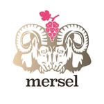 merselwine profile picture