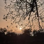 meryem_sael profile picture