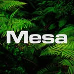 mesacostamesa profile picture