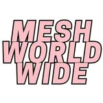mesh.worldwide profile picture