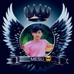 mesum.mesu profile picture