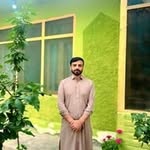 mesumhussains profile picture